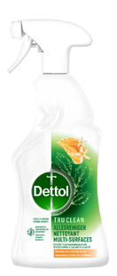 Dettol Allesreiniger Spray Mandarijn & Citroenbloesem 500ML Dettol Allesreiniger Spray Mandarijn & Citroenbloesem 500ML