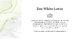 Therme Zen White Lotus Massage OIl 125ML belofte