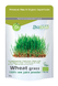 Biotona Wheat Grass 100% Raw Powder 150GR Biotona Wheat Grass 100% Raw Powder 150GR