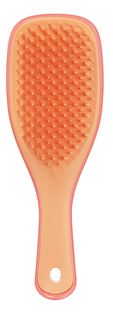 Tangle Teezer Detagling Mini Haarborstel 1ST Tangle Teezer Detagling Mini Haarborstel 1ST