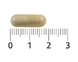 Lucovitaal Haar Volume Capsules 120CP Capsule