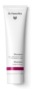Dr. Hauschka Shampoo 150ML Dr. Hauschka Shampoo 150ML