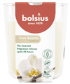 Bolsius True Scents Vanilla Geurkaars 1ST Bolsius True Scents Vanilla Geurkaars 1ST