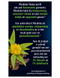 Lucovitaal Rhodiola Rosea Tabletten 60TB Zijkant verpakking