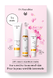 Dr. Hauschka Musthave Set Rose Light 1ST Dr. Hauschka Musthave Set Rose Light 1ST