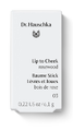Dr. Hauschka Lip to Cheek Rosewood 03 6.1GR