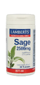 Lamberts Salie Tabletten 90TB