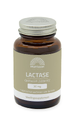 Mattisson HealthStyle Lactase OptiFerm 3000 FCC Capsules 90CP
