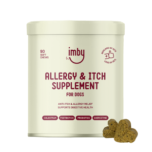 Imby Allergy & Itch Supplement Kauwtabletten 90KTB Imby Allergy & Itch Supplement Kauwtabletten 90KTB