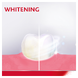 Parodontax Strengthen & Protect Whitening Tandpasta 75ML 103160