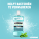 Listerine Cool Mint Mild Mondspoeling 500ML Fles listerine met blaadje munt en tekst Listerine Cool Mint Mild Mondspoeling 500ML Fles listerine met blaadje munt en tekst