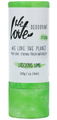 We Love The Planet Deodorant Stick Luscious Lime 40GR