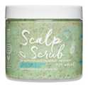 Umberto Giannini Anti-Dandruff Scalp Scrub 200GR