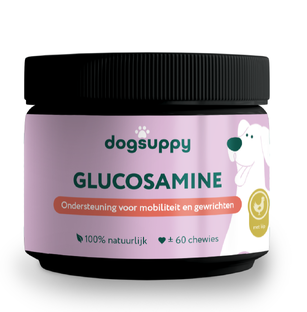 Dogsuppy Glucosamine Chewies 60ST 