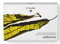 Dr. Hauschka Uplifted Soul Body Giftset 1ST Dr. Hauschka Uplifted Soul Body Giftset 1ST