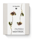 Dr. Hauschka Nature's Beauty Make-Up Giftset 1ST 