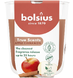 Bolsius True Scents Apple Cinnamon 1ST 