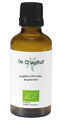 Cruydhof Angelica Officinalis/Engelwortel Druppels 50ML