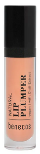 Benecos Natural Lip Plumper 4.8GR Benecos Natural Lip Plumper 4.8GR