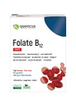 Quercus Folate B12 Tabletten 80TB