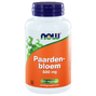 NOW Paardenbloem 500mg Capsules 100ST