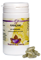 Holisan Amalaki Capsules 60CP