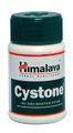 Himalaya Herbals Holisan Cystone Tabletten 100TB