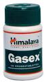 Himalaya Herbals Gasex Tabletten 100TB