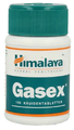 Himalaya Herbals Gasex Tabletten 100TB Himalaya Herbals Gasex Tabletten 100TB