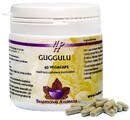 Holisan Guggulu Capsules 60CP