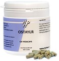 Holisan Ostayur Capsules 120CP Holisan Ostayur Capsules 120CP