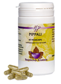 Holisan Pippali Capsules 60CP