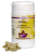 Holisan Pippali Capsules 60CP Holisan Pippali Capsules 60CP