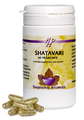 Holisan Shatavari Capsules 60CP