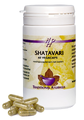 Holisan Shatavari Capsules 60CP Holisan Shatavari Capsules 60CP