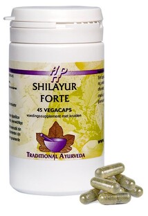 Holisan Shilayur Forte Capsules 45CP Holisan Shilayur Forte Capsules 45CP
