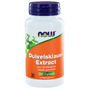 NOW Duivelsklauw Extract Capsules 100ST