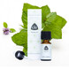 Chi Natural Life Pepermunt Etherische Olie Cultivar 10ML 33930 Chi Natural Life Pepermunt Etherische Olie Cultivar 10ML 33930
