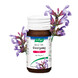 A.Vogel Famosan Salvia Overgang Sterk** Tabletten 25ST 37548