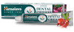 Himalaya Herbals Dental Cream Tandpasta 100GR