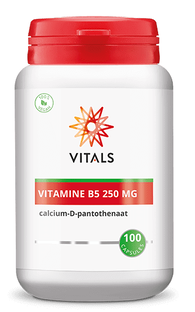 Vitals Vitamine B5 250mg Capsules 100TB
