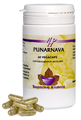 Holisan Punarnava Capsules 60CP Holisan Punarnava Capsules 60CP