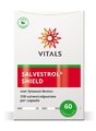 Vitals Salvestrol Shield Capsules 60CP