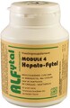 Alfytal Hepato Fytal Vegetarische Capsules 90VCP Alfytal Hepato Fytal Vegetarische Capsules 90VCP
