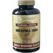 Artelle Multifull 3000 Tabletten 250TB 