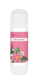 Balance Pharma Flowerplex 063 Zelfvertrouwen 6GR Balance Pharma Flowerplex 063 Zelfvertrouwen 6GR