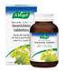 A.Vogel Glucosamine + Alchemilla Gewrichten Tabletten 90TB 77613 A.Vogel Glucosamine + Alchemilla Gewrichten Tabletten 90TB 77613