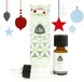 Chi Natural Life Chi Kerstmix Van Het Jaar 10ML Chi Natural Life Chi Kerstmix Van Het Jaar 10ML