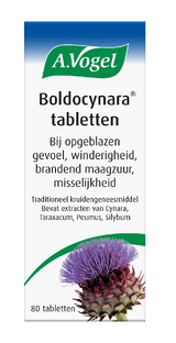 A.Vogel Boldocynara Tabletten 80TB