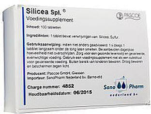 Pascoe Silicea Similiaplex Tabletten 100TB